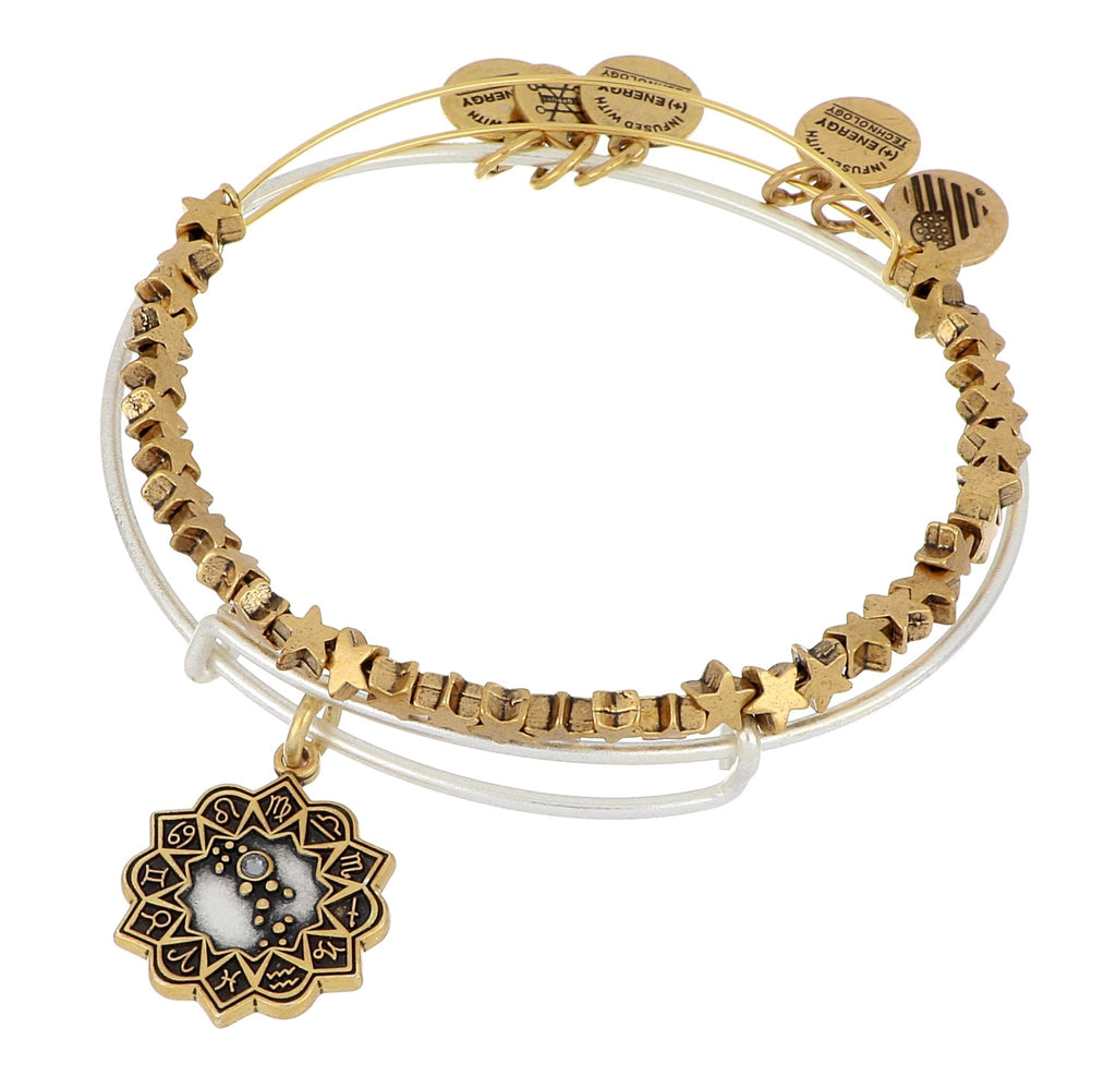 Alex and ani hot sale gemini bracelet