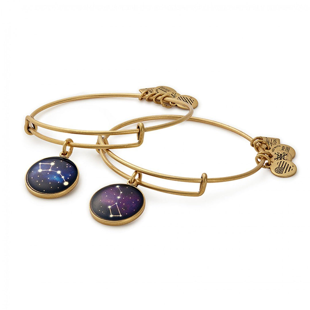 ALEX AND ANI Big and Little Dipper Charm Bangle Set of 2 Not Net