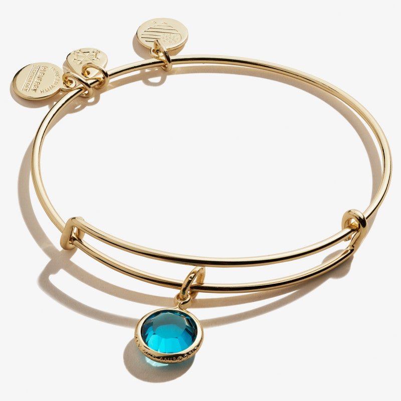 ALEX AND ANI Blue Zircon Birthstone Charm Bangle, December Not Net