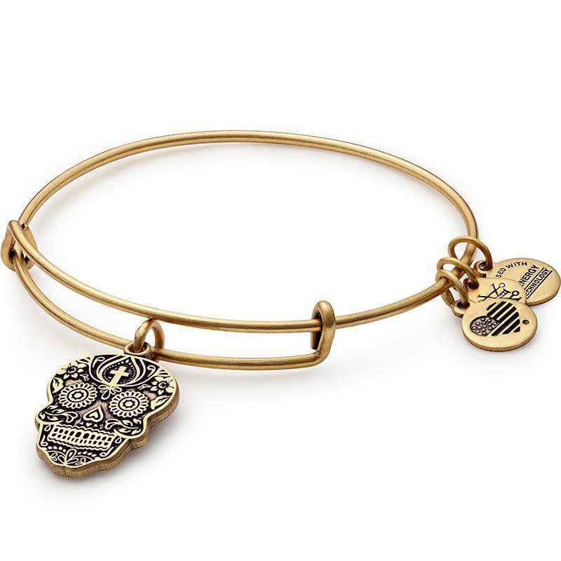 ALEX AND ANI Calavera Charm Bangle Not Net