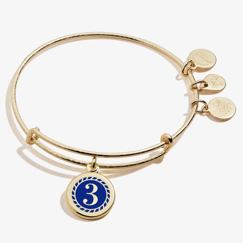 ALEX AND ANI Color Infusion Numerology Three Charm Bangle Not Net