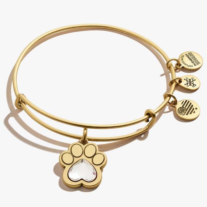 ALEX AND ANI Crystal Paw Prints of Love Charm Bangle Not Net