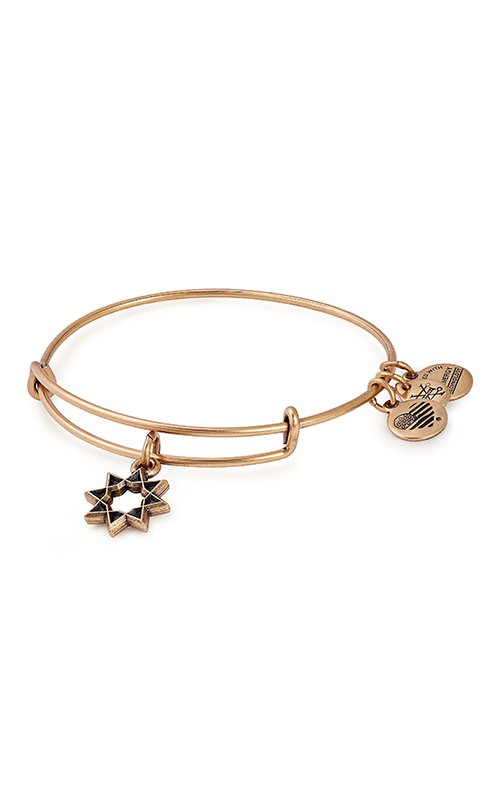 ALEX AND ANI Eight - Pointed Star Charm Bangle Not Net