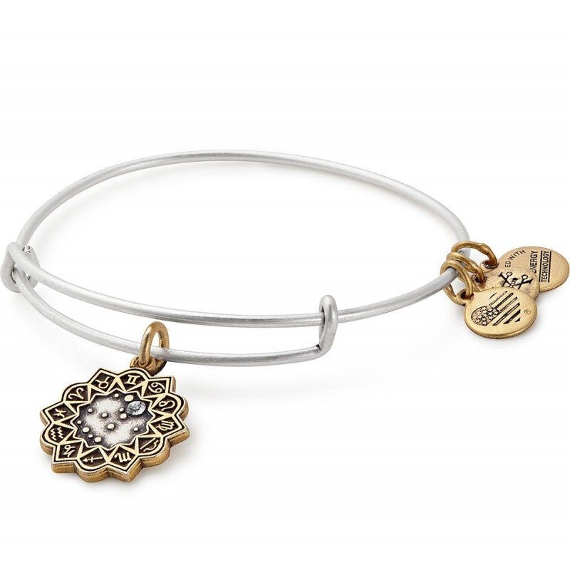 ALEX AND ANI Gemini Two Tone Charm Bangle Not Net