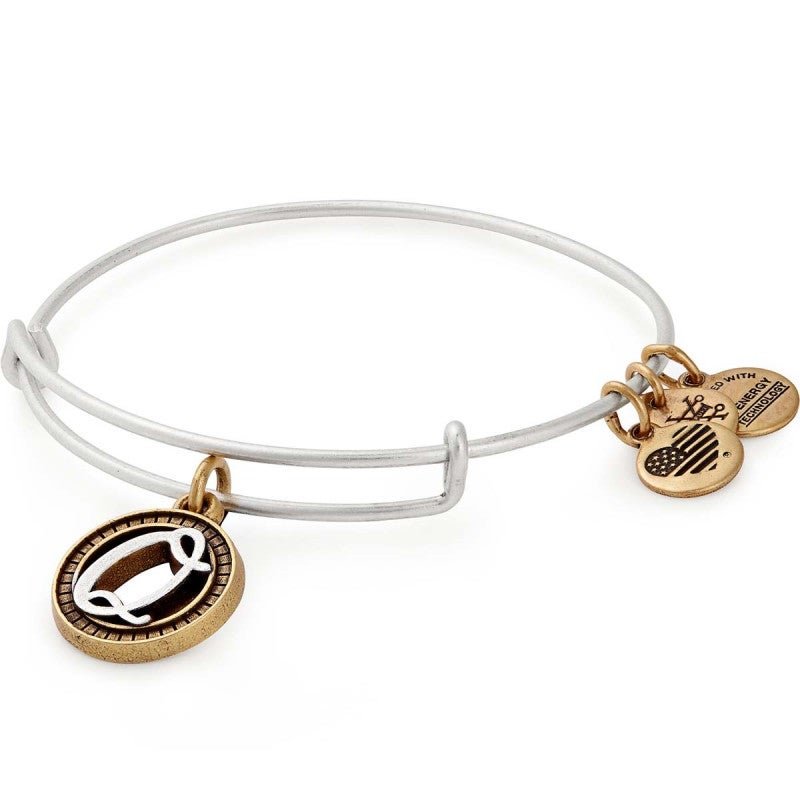 ALEX AND ANI Inital Q Two Tone Charm Bangle Not Net