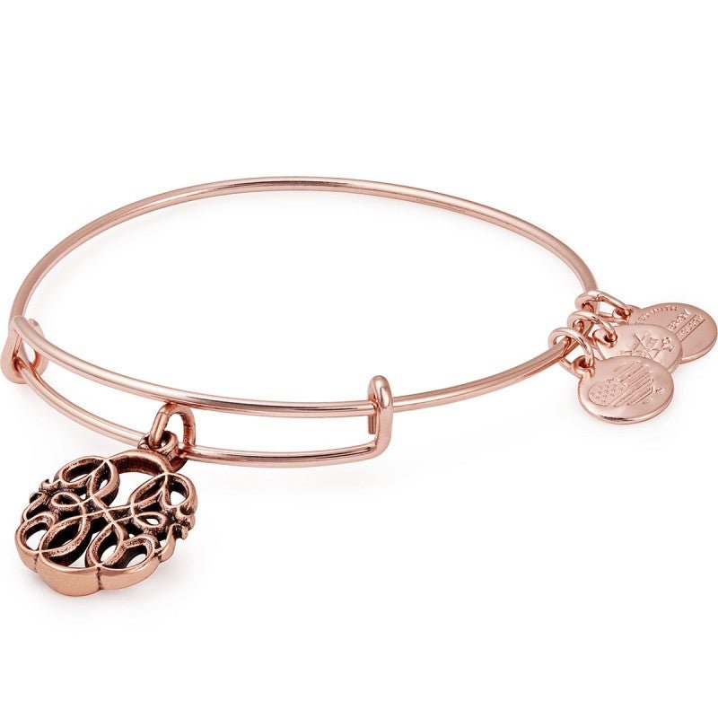 ALEX AND ANI Path Of Life Charm Bangle Not Net