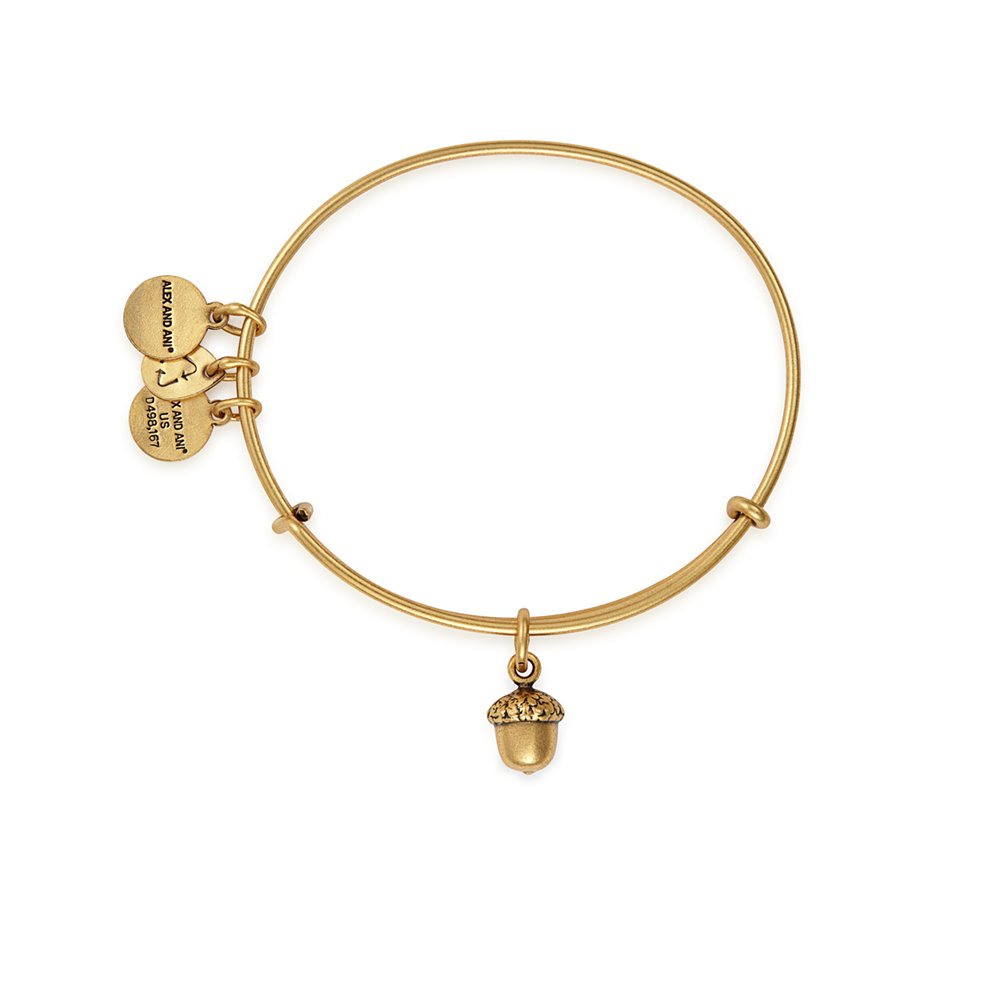 Alex and ani nana fashion bracelet