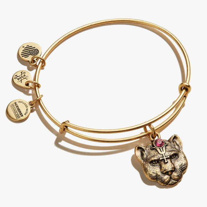 Shops alex and ani heart bracelet