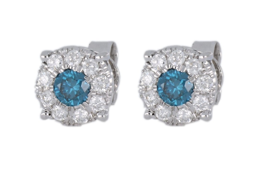 Blue Diamond Ladies Earrings (Blue Diamond 0.58 cts. White Diamond 0.53 cts.) Not Net